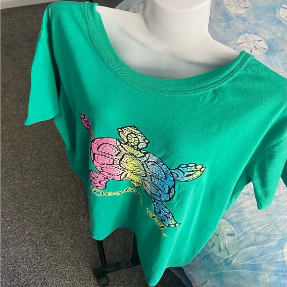 π’Sea Turtle Destin Fl. Top - Picture 3 of 13